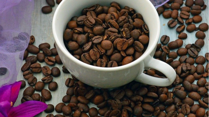 Gourmet Coffee Introduction